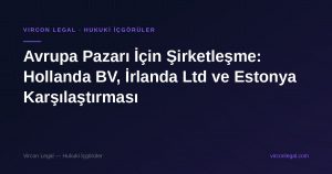 Avrupa Pazarı İçin Şirketleşme: Hollanda BV, İrlanda Ltd ve Estonya Karşılaştırması