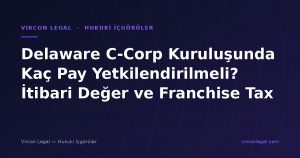 Delaware C-Corp Kuruluşunda Kaç Pay Yetkilendirilmeli? İtibari Değer ve Franchise Tax