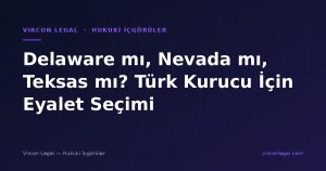 Delaware mı, Nevada mı, Teksas mı? Türk Kurucu İçin Eyalet Seçimi