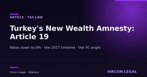 Turkey’s New Wealth Amnesty: What Changes with Provisional Article 19